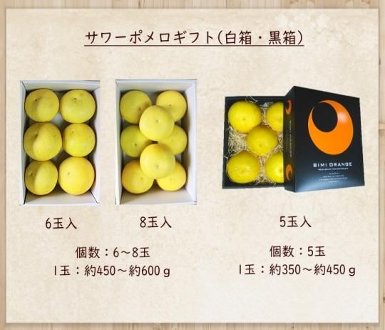 【メーカー直売】の商品をすべて サワーポメロ 5～8玉ギフト用化粧箱入でプレゼントにおススメ 果物