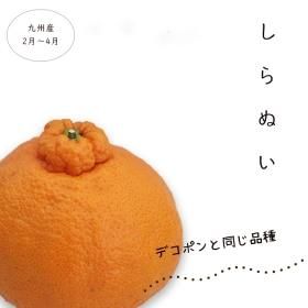 ڥȯۡʤѡβ(ǥݥƱʼ) 3kg ̵ڣȯ<img class='new_mark_img2' src='https://img.shop-pro.jp/img/new/icons61.gif' style='border:none;display:inline;margin:0px;padding:0px;width:auto;' />
