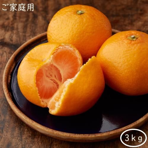 ご家庭用 十万温州みかん 3kg 送料無料 クルス農園栽培 おひさまとくだもの 鹿児島の小さな町のくだもの店