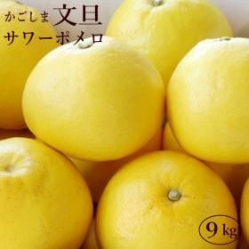 鹿児島県産、九州産サワーポメロの通販・お取り寄せ販売。全国