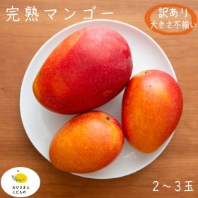2023年 鹿児島県産 完熟マンゴーの通販・お取り寄せ。マンゴーは2023年 ...
