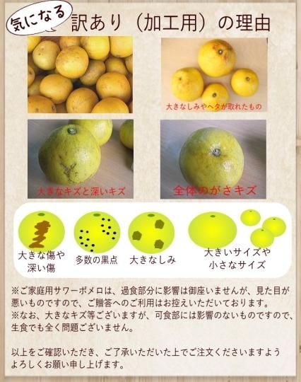 鹿児島県産、九州産サワーポメロの通販・お取り寄せ販売。全国
