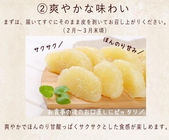 サワーポメロ 8kg 送料無料 -鹿児島産のみかん・柑橘・ぶどう