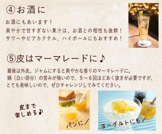 サワーポメロ 8kg 送料無料 -鹿児島産のみかん・柑橘・ぶどう
