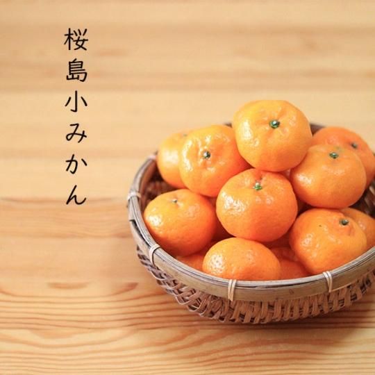桜島小みかん5kg(ご家庭用)/鹿児島県産(12月初旬から発送開始 桜島小みかん5kg(ご家庭用)/鹿児島県産(12月初旬から発送開始