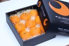 デコポンと同品種・不知火(しらぬい)の通販。柑橘しらぬいを送料