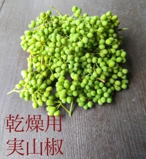 実山椒 花山椒 木の芽 - 飛騨高山の天然山菜通販・販売サイト 