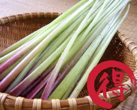 楽天市場】ふき（総重量（野菜）1.0 ～ 1.9kg）（山菜｜野菜