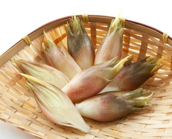 天然 茗荷 みょうが 飛騨高山の天然山菜通販 販売サイト さるぼぼ山菜便 天然 茗荷 みょうが 飛騨高山の天然山菜通販 販売サイト さるぼぼ山菜便