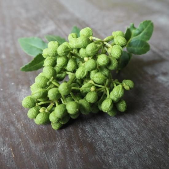 採れたて！青森産 花山椒 100g - メルカリ