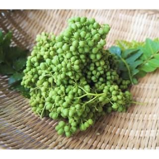 実山椒 花山椒 木の芽 - 飛騨高山の天然山菜通販・販売サイト 実山椒 花山椒 木の芽 - 飛騨高山の天然山菜通販・販売サイト