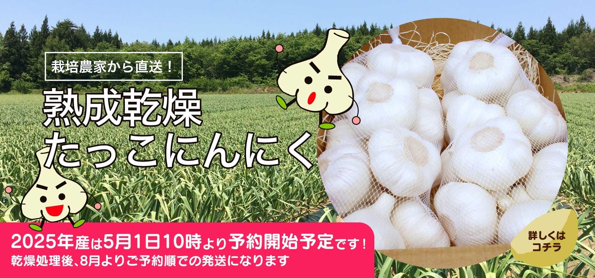 礿äˤˤ