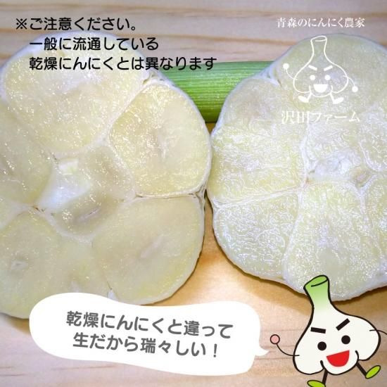 生にんにく Lサイズ 1kg - たっこにんにく直営販売店 沢田ファーム