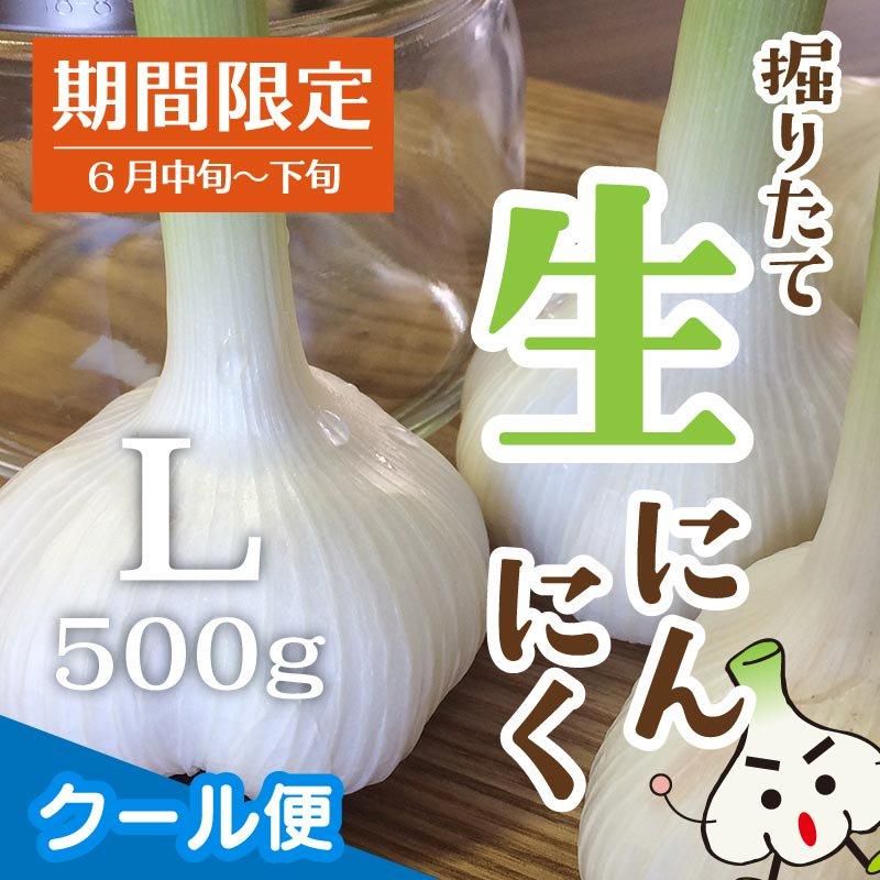 生にんにく Lサイズ 500g - たっこにんにく直営販売店 沢田ファーム