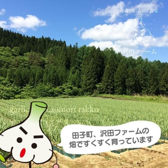 熟成乾燥たっこにんにく 上級品2Lサイズ 1kg - たっこにんにく