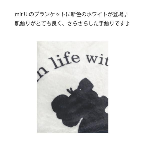 グレー、シュナ