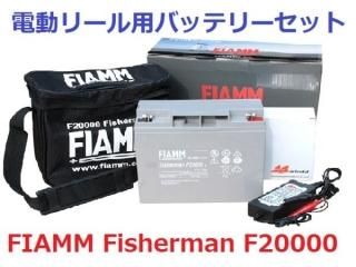 ڿʡʰ¡ʼ㥳ȡ ư꡼ եå󥰥Хåƥ꡼FIAMM F20000