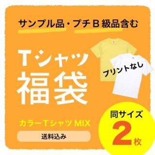ワケアリＴシャツ福袋（カラーＴシャツMIX）２枚【プリントなし】<img class='new_mark_img2' src='https://img.shop-pro.jp/img/new/icons61.gif' style='border:none;display:inline;margin:0px;padding:0px;width:auto;' />