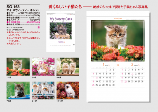 マイ スウィーティー キャット