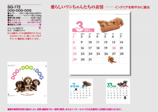DOG・DOG・DOG