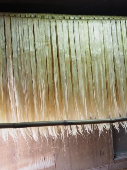 精麻（上）100グラム【9月下旬発送】 - 麻農家のお店