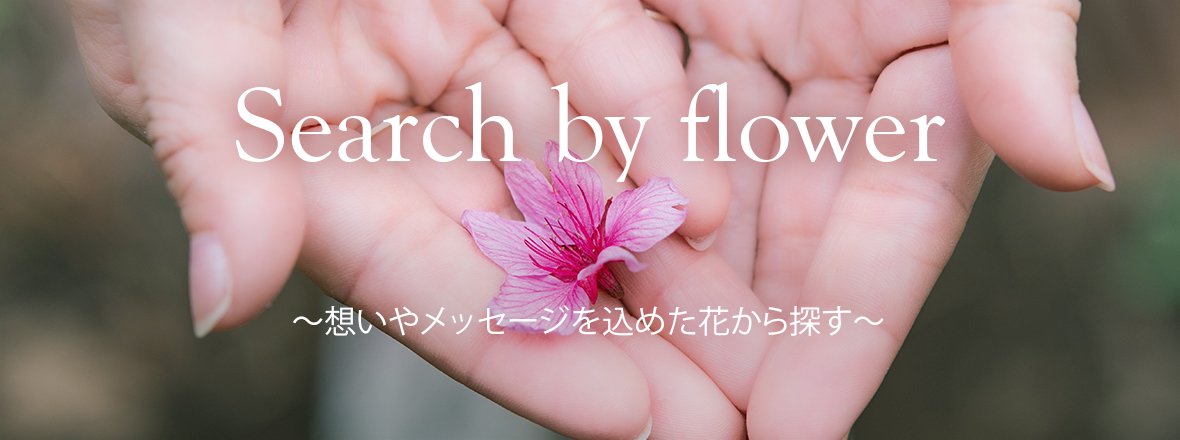 Searh by flower 想いやメッセージを込めた花から探す