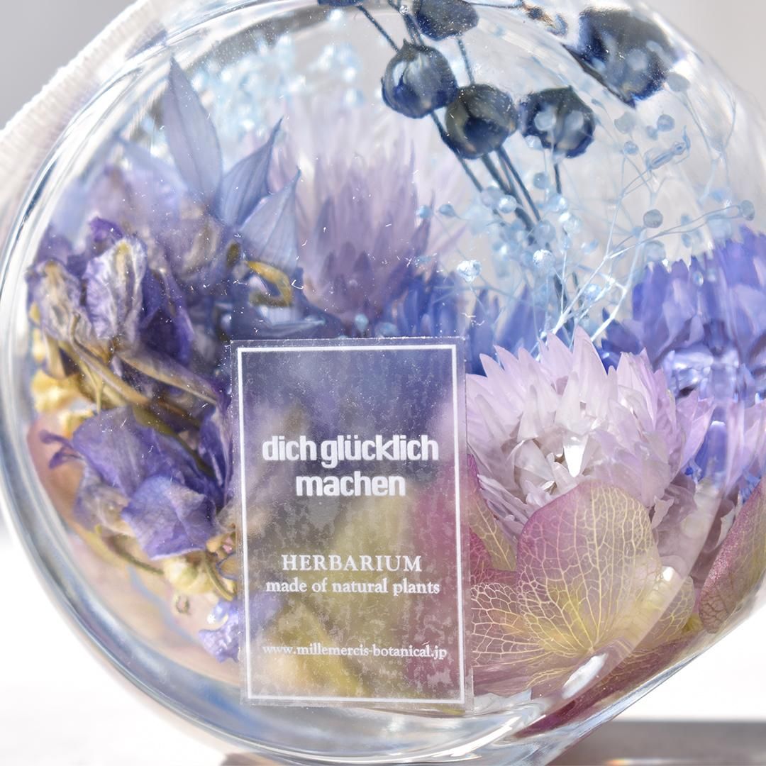 オーダーメイド品【ハーバリウム】dich glücklich machen - Delphinium