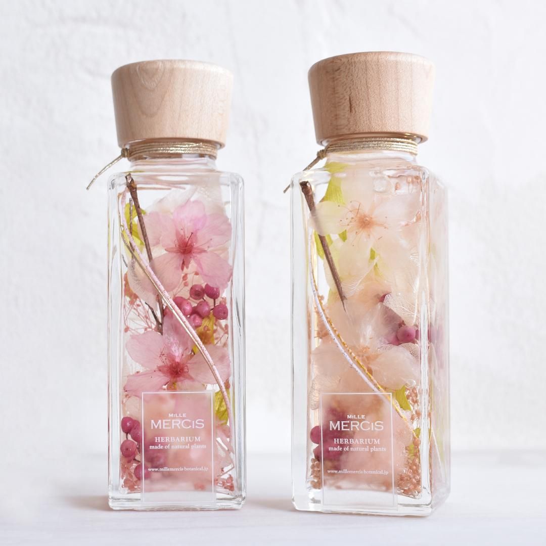 本物のさくら＊桜ハーバリウム】『MIYABI-雅-』花宴（はなのえん）紅梅