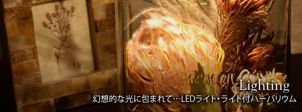 ハーバリウム・キャンドル・オーダーメイド MiLLE MERCiS(ミル ハーバリウム・キャンドル・オーダーメイド MiLLE MERCiS(ミル