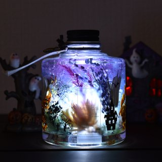 ڥϥϡХꥦۡMOTIF٥ȥեƥХ LEDƥ饤ȥɥդ