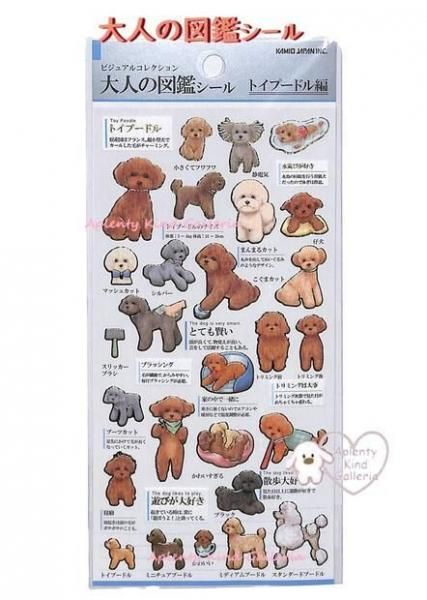 大人の図鑑シール | トイプードル編 - Aplenty Town あぷれんてぃた