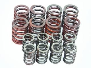 Х֥ץ󥰥å / Valve Spring Set, VALVE SPRING SET, inner/outer, 8 pieces :VS536