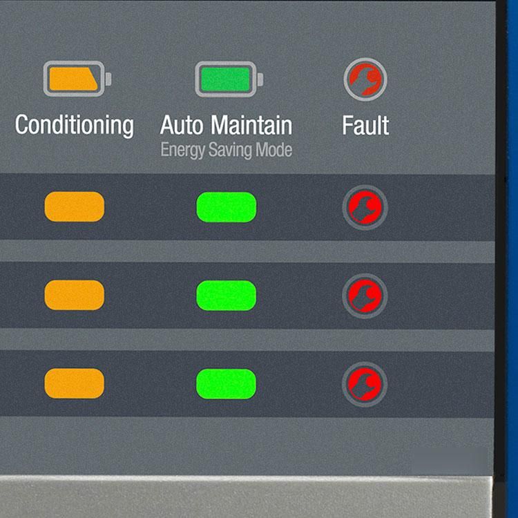 専用！2個おまとめて 226893Guest バッテリーチャジャー20A / 12V; 2 Bank; 90V -135V Input
