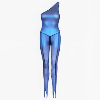 <img class='new_mark_img1' src='https://img.shop-pro.jp/img/new/icons20.gif' style='border:none;display:inline;margin:0px;padding:0px;width:auto;' />MAISON CLOSE/Hologram Mesh Catsuit