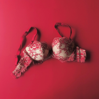 Chasney Beauty/Grow-Up Type Bra...AMBER(3100ROU