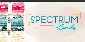 Spectrum Bundles