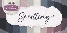 Seedling　シードリング（種まき）