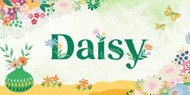 Daisy　デイジー