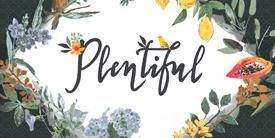 Plentifulץƥե