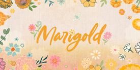 Marigoldޥ꡼