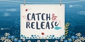 Catch & Release