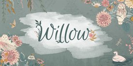 Willow　　柳