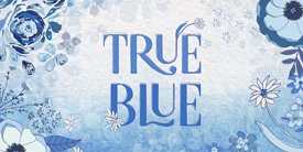 True Blueȥ롼֥롼