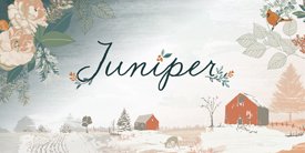 Juniper　ジュニパー