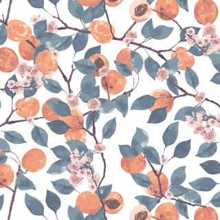 MDS63901 Blossoming Apricots -Mindscape åȥ100% 