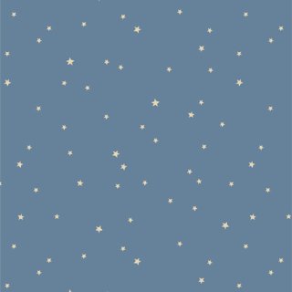 <img class='new_mark_img1' src='https://img.shop-pro.jp/img/new/icons3.gif' style='border:none;display:inline;margin:0px;padding:0px;width:auto;' />COH28901 Starry Whispers Mist -Coyote Hill åȥ100% 