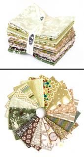 CBS-FQ804 Forest Green  - FQ  Хɥ