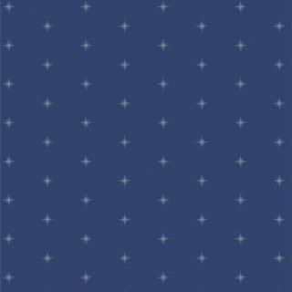 <img class='new_mark_img1' src='https://img.shop-pro.jp/img/new/icons3.gif' style='border:none;display:inline;margin:0px;padding:0px;width:auto;' />STR88901 Shining Stardusk åȥ100% 