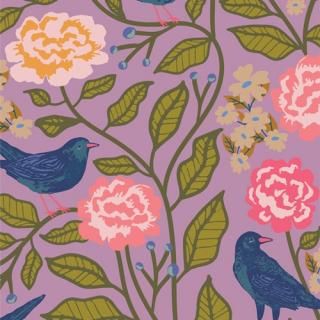 <img class='new_mark_img1' src='https://img.shop-pro.jp/img/new/icons3.gif' style='border:none;display:inline;margin:0px;padding:0px;width:auto;' />STR88906 Blackbird Canopy åȥ100% 