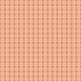 <img class='new_mark_img1' src='https://img.shop-pro.jp/img/new/icons3.gif' style='border:none;display:inline;margin:0px;padding:0px;width:auto;' />FWA-21705 Cozy Gingham Birch -Fairview Avenue åȥ100% 